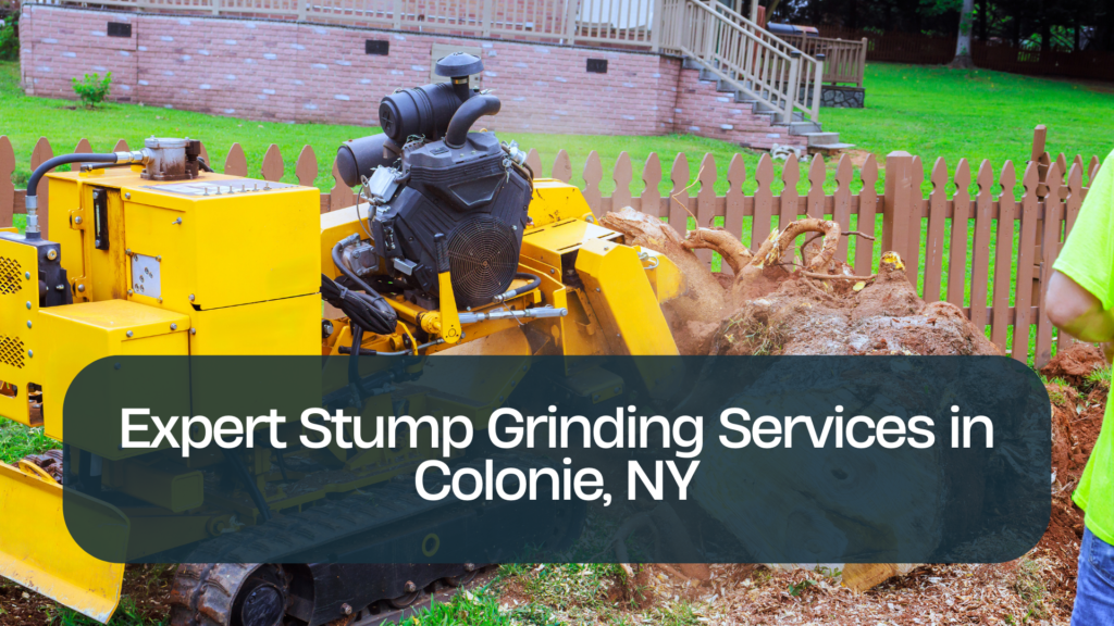 Expert Stump Grinding Services in Colonie, NY