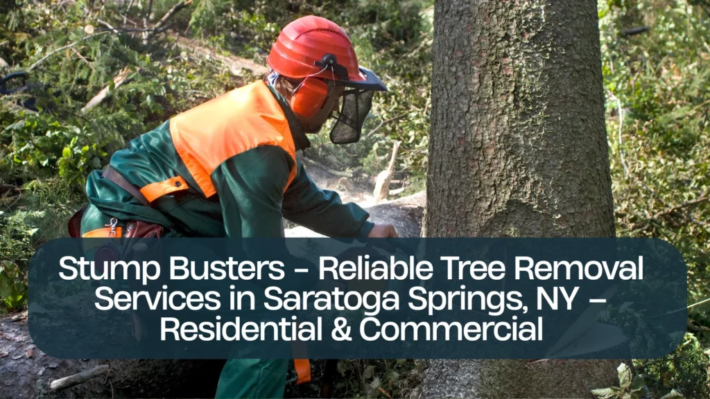 Stump Busters - Reliable Tree Removal Services in Saratoga Springs, NY – Residential & Commercial