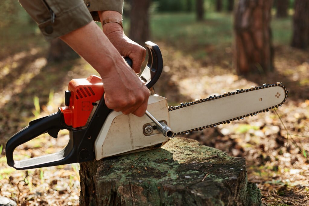 Stump Busters -  Expert Stump Grinding Services in Albany, NY – Safe, Fast & Affordable Solutions