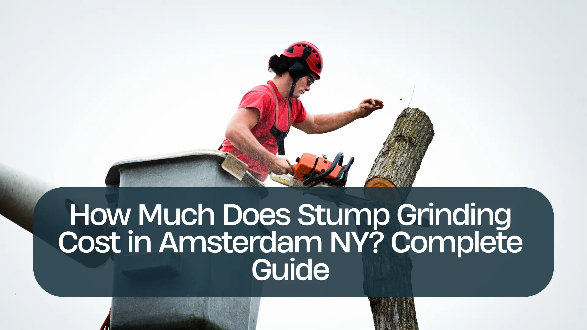 How Much Does Stump Grinding Cost in Amsterdam NY