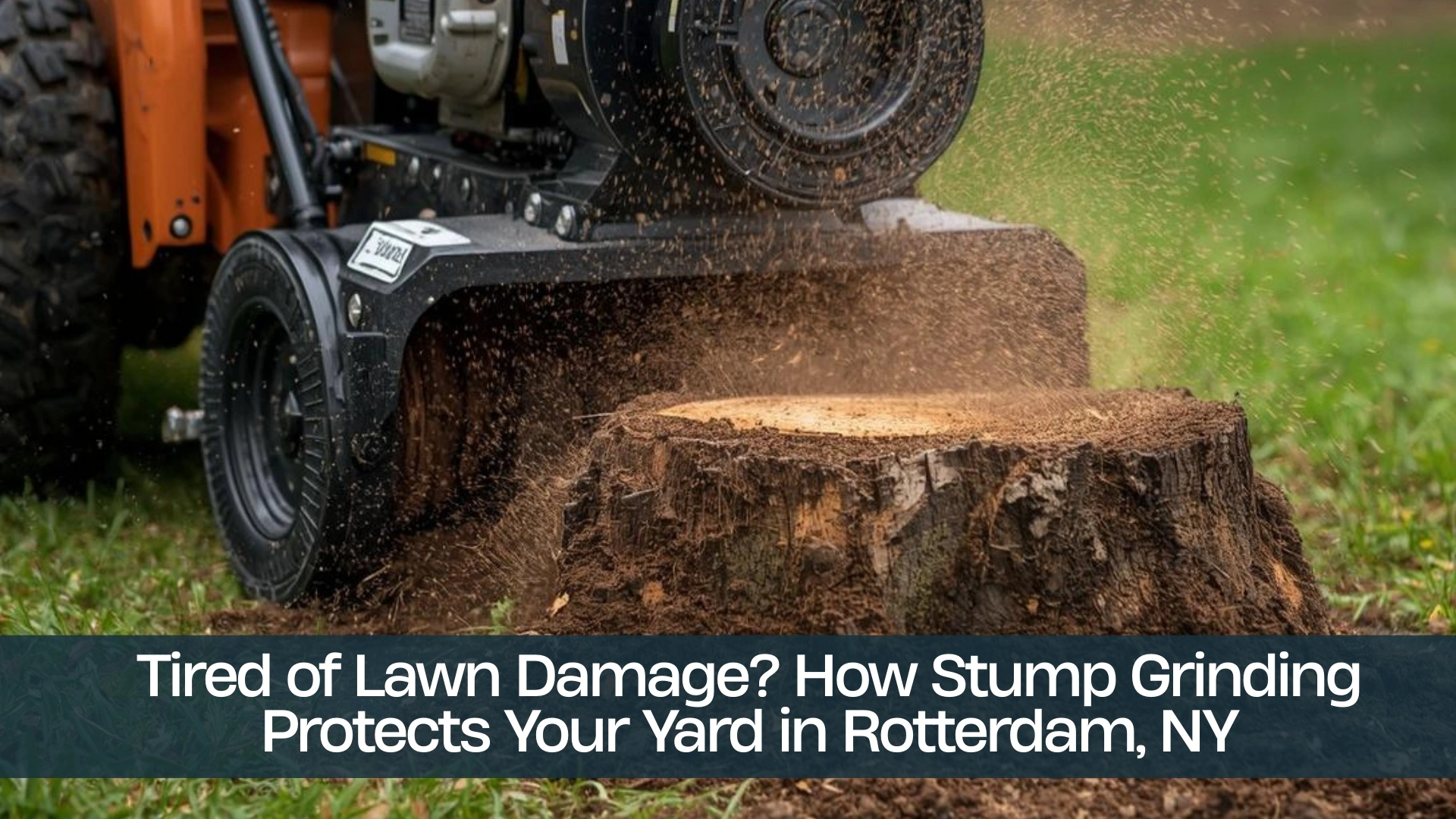 Tired of Lawn Damage How Stump Grinding Protects Your Yard in Rotterdam, NY