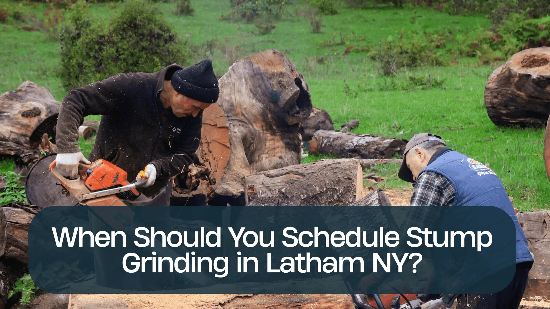When Should You Schedule Stump Grinding in Latham NY?
