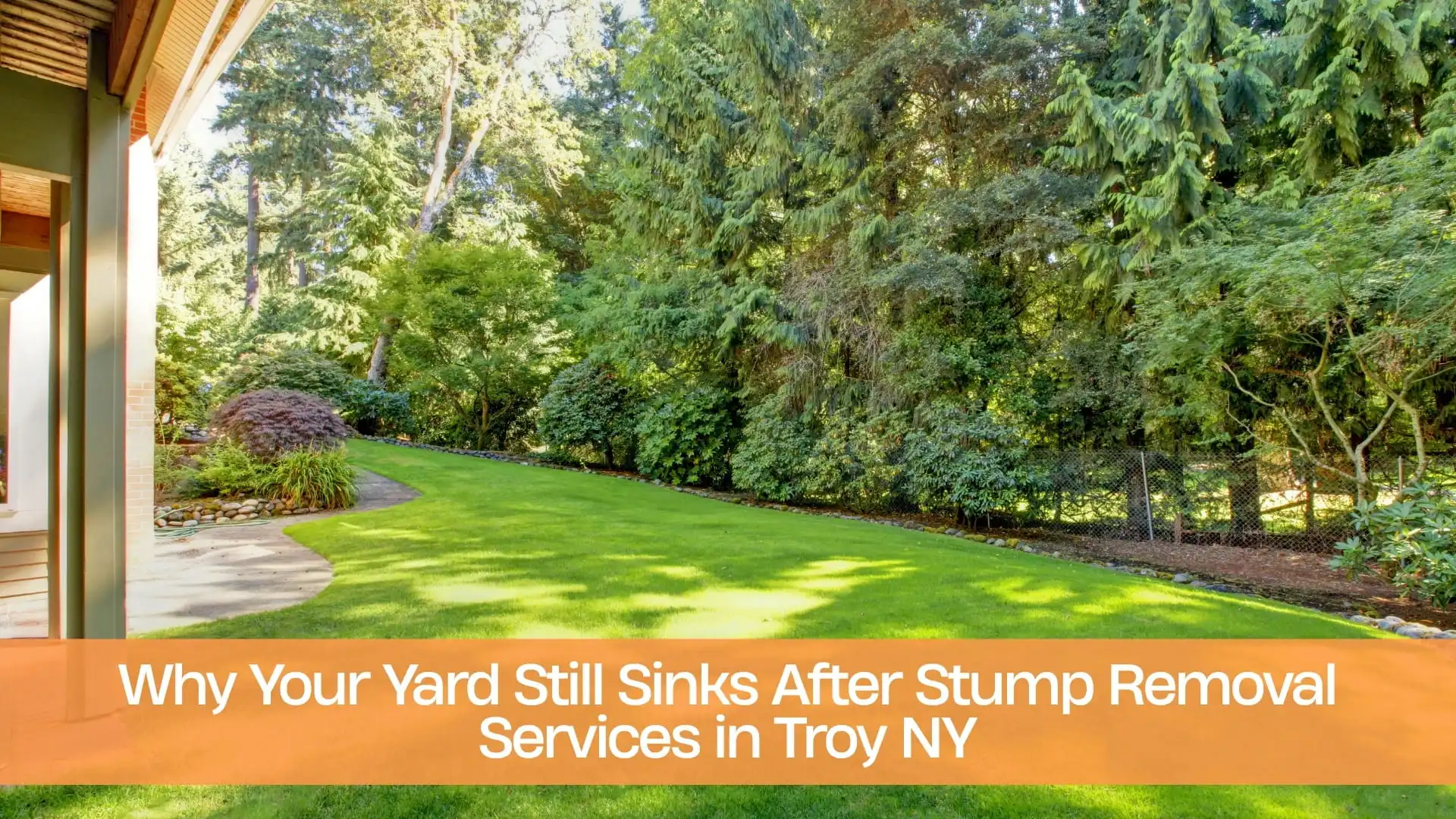 Why Your Yard Still Sinks After Stump Removal Services in Troy NY (1)