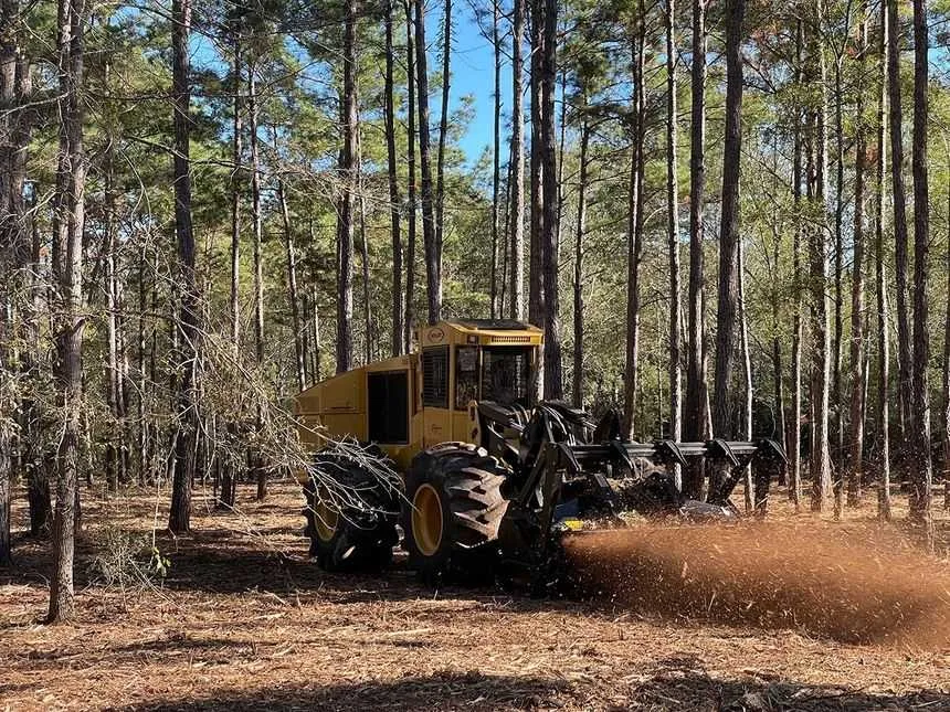 Dense brush clearing on a property