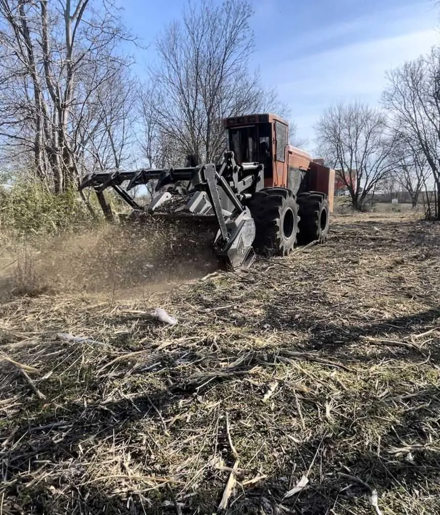 Cleared lot ready for new use