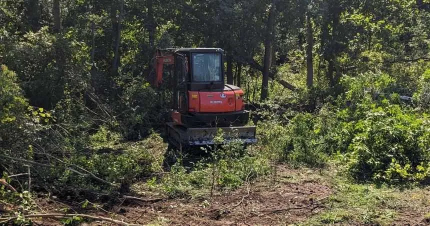 Land Clearing Service