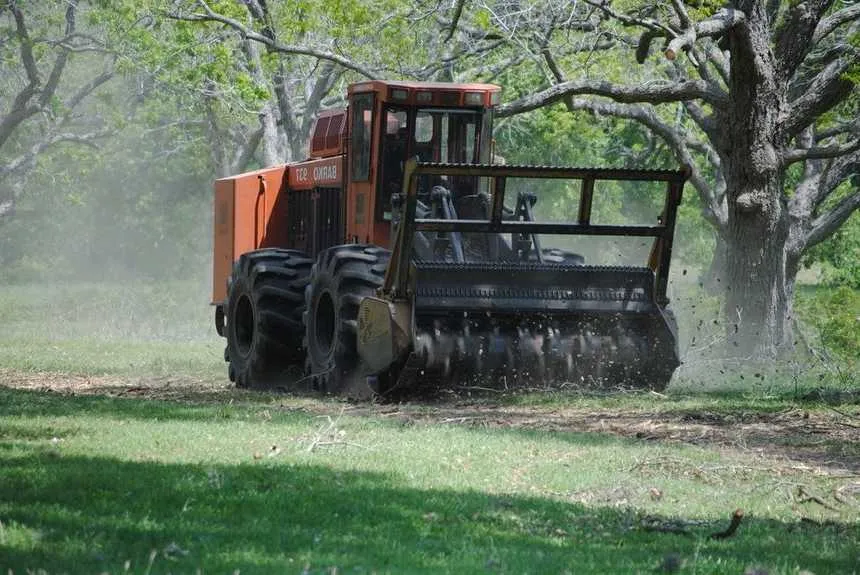 Professional land and brush clearing work on an overgrown property