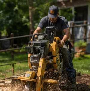 Professional stump removal site