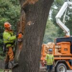 Professional Stump Grinding Near Me in West Charlton NY