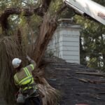 Professional Tree Cutting Company West Charlton NY – Reliable Tree Care for Safer Properties