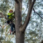 Your Essential Guide: 5 Critical Questions Before Choosing a Tree Service in West Charlton, NY